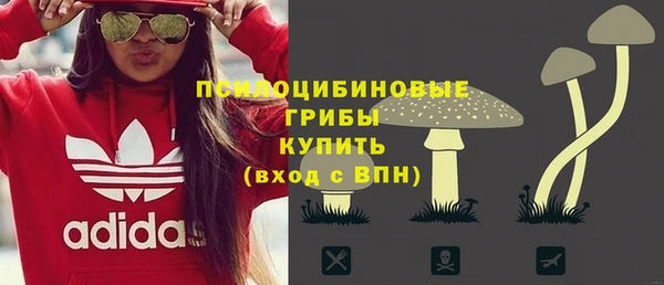 альфа пвп Армянск