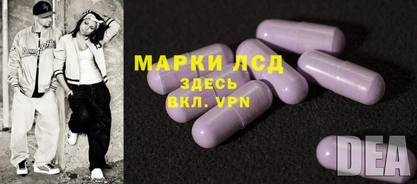 СК Аркадак