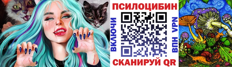 как найти наркотики Жигулёвск Псилоцибиновые грибы ЛСД